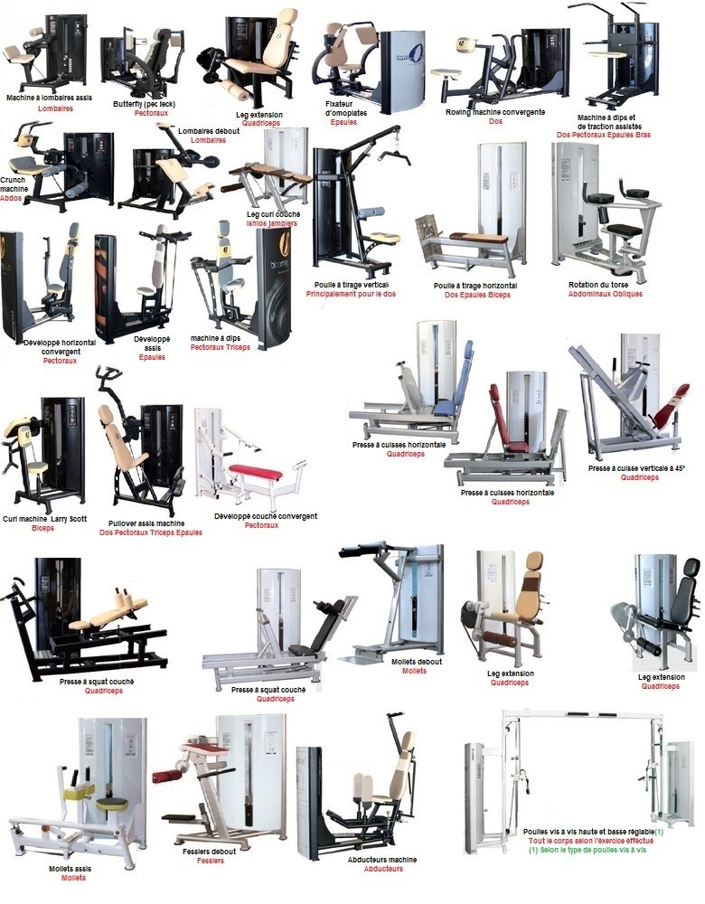 les différents appareils de musculation les différents appareils de musculation
